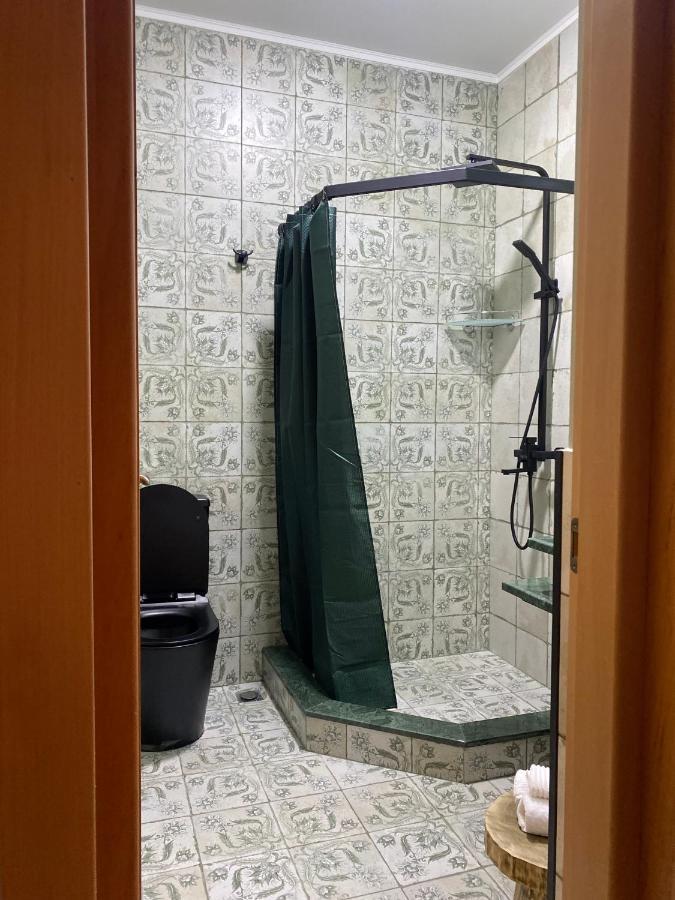 Guesthouse Shampriani Mestia Dış mekan fotoğraf