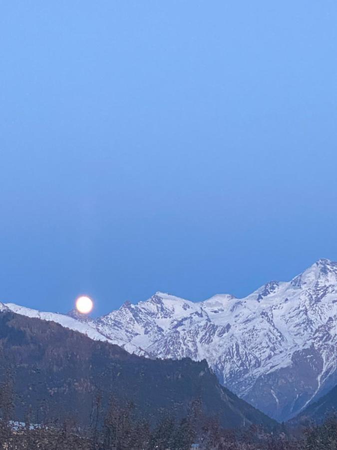 Guesthouse Shampriani Mestia Dış mekan fotoğraf